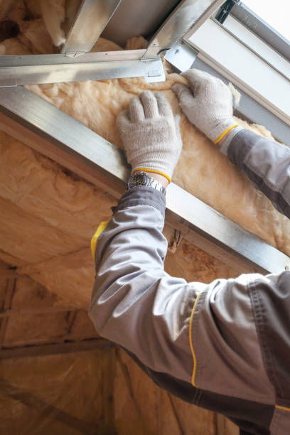 Best Eco-Friendly Insulation in Crowley, TX